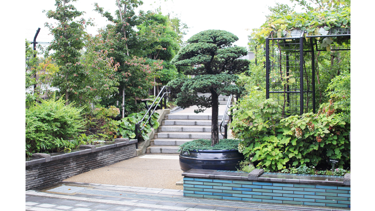 都心のオアシス 東京の公園 庭園案内 パート2 Herenow Tokyo 都心のオアシス 東京の公園 庭園案内 パート2 Herenow Tokyo