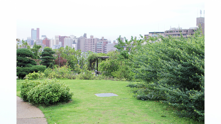 都心のオアシス 東京の公園 庭園案内 パート2 Herenow Tokyo