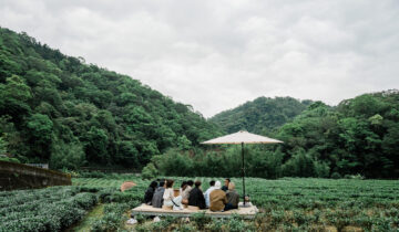 搭一趟50分鐘的公車，走進台北茶的繚療山旅行